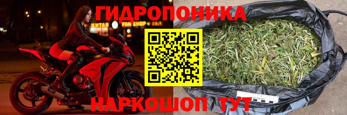 Бошки марихуана Amnesia  Конопля SATIVA & INDICA  Бошки марихуана план  Вход с VPN  Луга 